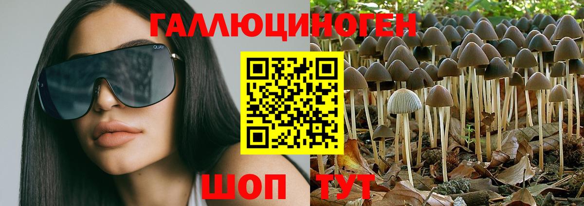 Галлюциногенные грибы GOLDEN TEACHER Еманжелинск